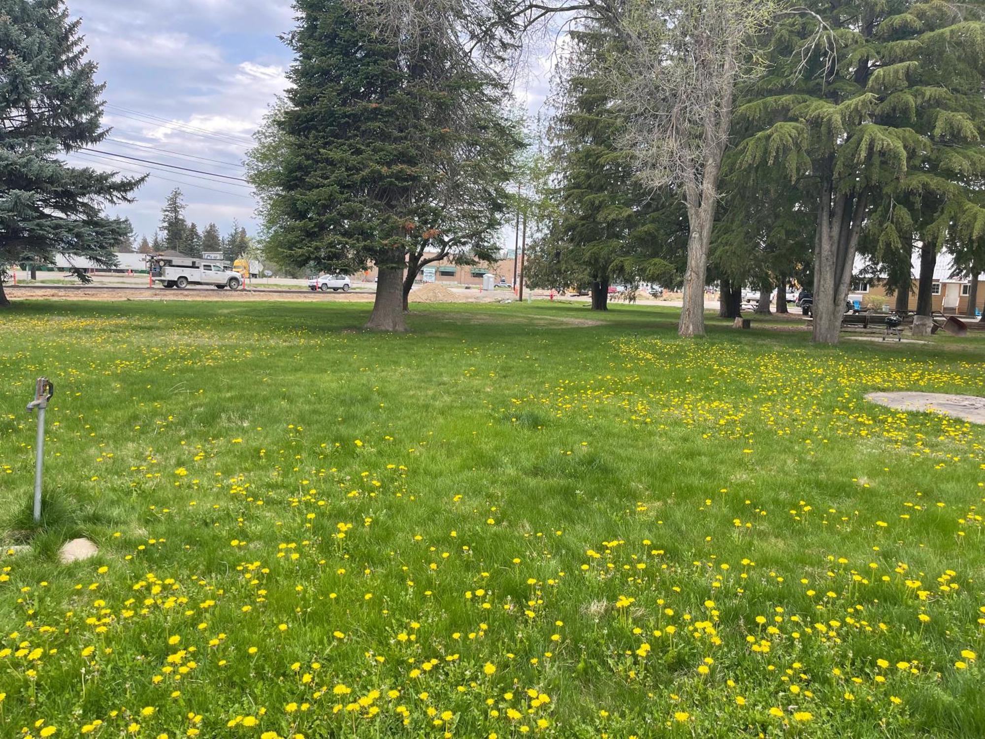 Kootenai Valley Motel Bonners Ferry Kültér fotó